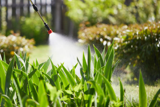 24/7 Emergency Ant Control experts in Key Biscayne, FL