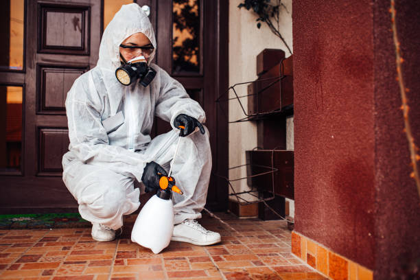 Reliable Ant Control contractor in Key Biscayne, FL by Nex Pest Control